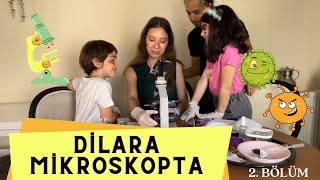 DİLARA MİKROSKOPTA 2. BÖLÜM - EVDEKİLERİ MİKROSKOPTA İNCELEDİK