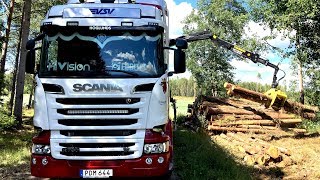 Gaming the Timber Industry with Hiab HiVision