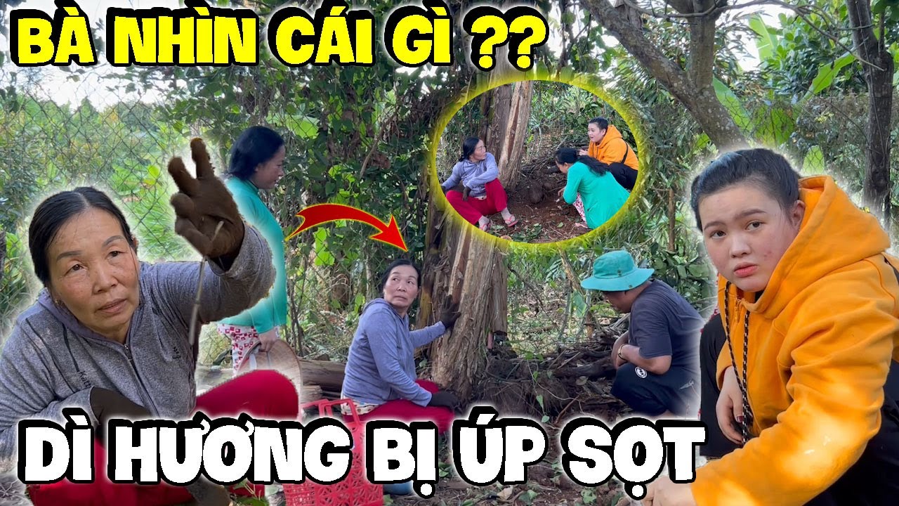 Dì Hương Cầu Cứu Đám Báo Và Cái Kết Báo Tới Nữa Rồi Bây Ơi | Hải Ka Vlogs