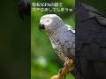 【🐦】ガチで号泣してしまうmido