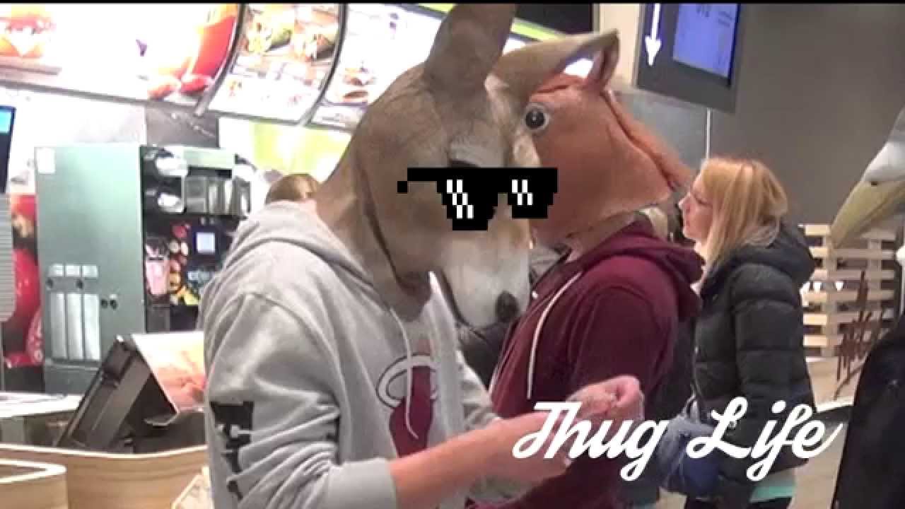Kangaroo Thug Life YouTube