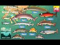 Creatures Of The Deep All Fishes In Great Lake 2 2