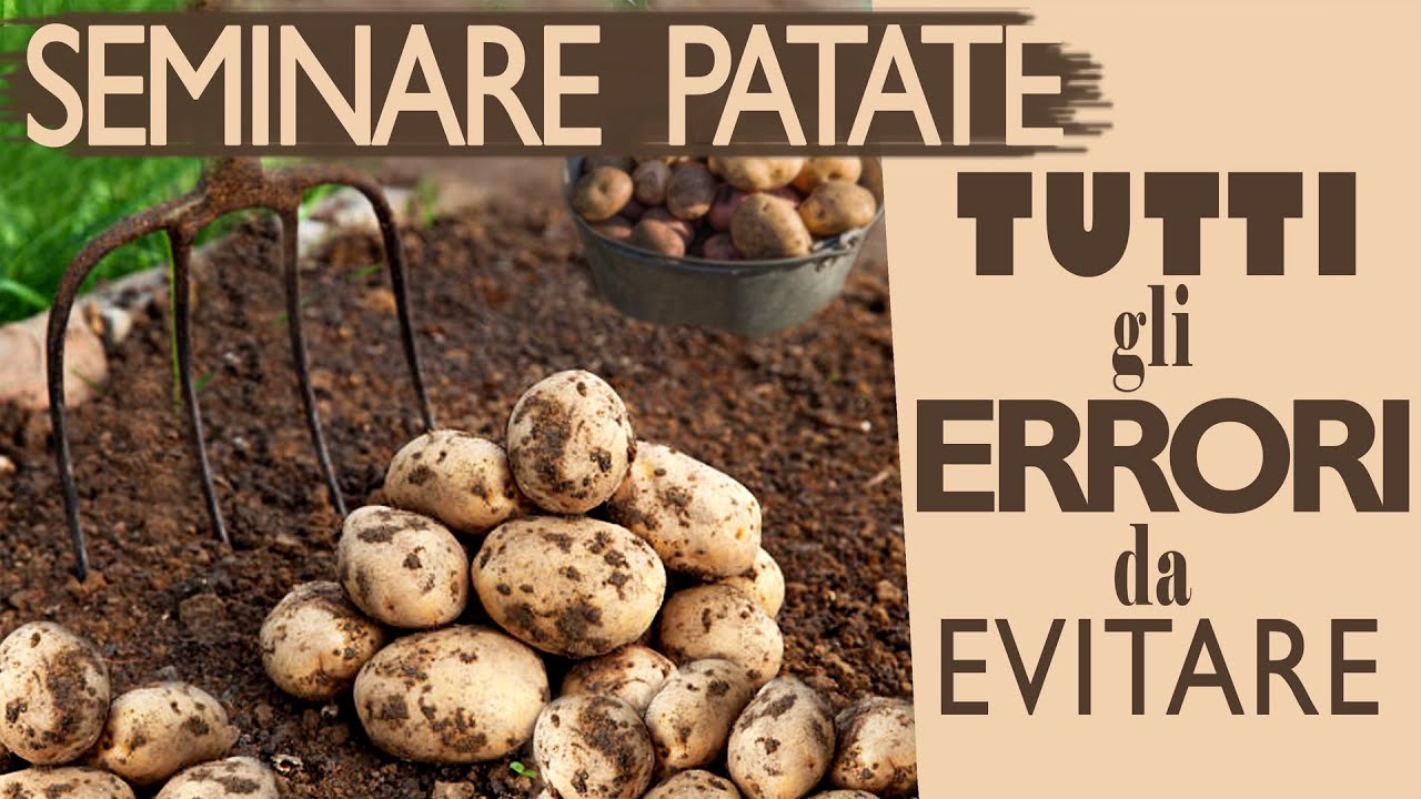SEMINARE le PATATE | Tutti gli ERRORI da EVITARE