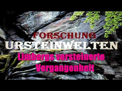 Limbergs versteinerte Vergangenheit