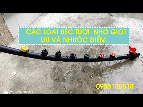 Ưu nhược điểm