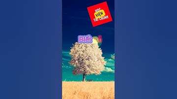 #short Những câu nói hay về tiền và cuộc sống!10