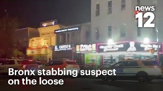 Man stabbed in the back in Parkchester, The Bronx | News 12