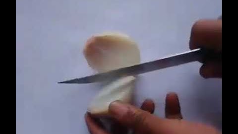 Onion cutting skills online video cutter com 1