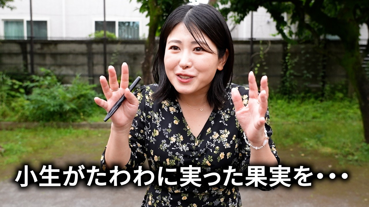 日本唯一の女性風俗ライター