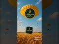 Рекомендуйте наш проект LeonTRade инвесторам и получите % долю по договору связь📧 leontrade@list.ru