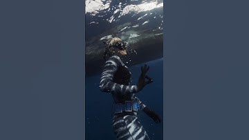 How To Coexist With SHARKS 💙🦈 #oneocean #shark #diving #respect #conservation #ocean #love #a