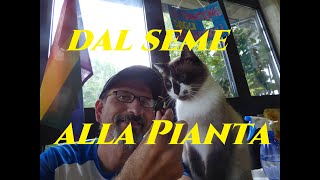 Come Far Nascere Una Pianta Di Prugna Da Un Seme