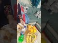 يوميات ام مروان وميار احلى بث مباشر يوميات ام مروان وميار احلى بث مباشر
