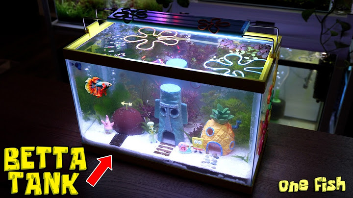 I Built Bikini Bottom in a Fish Tank!