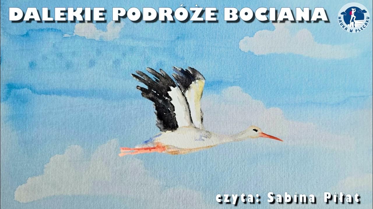 Piosenki O Bocianie I żabce Dalekie podróże bociana - wiersz dla dzieci (bocian biały) - YouTube