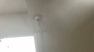 Hochiki Fire Alarm Going Off At School.