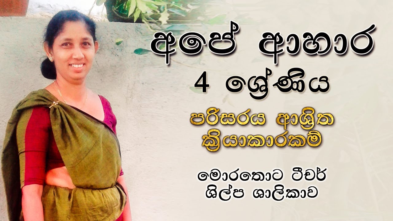  grade 4 grade 4 parisaraya e thaksalawa grade 4 shilpa