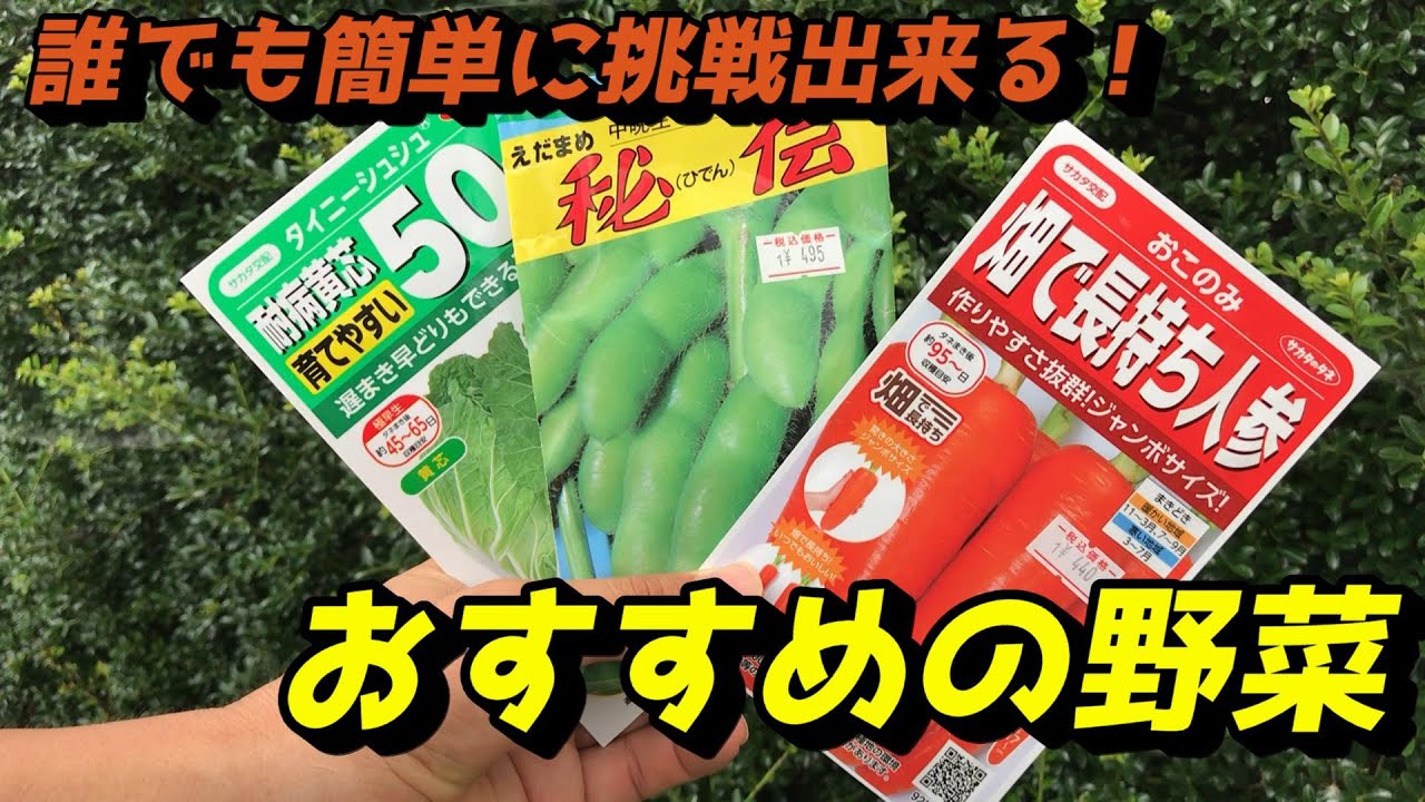 プランター】で7月から育てられる野菜3つ！ 【家庭菜園】 - YouTube