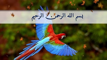 تلاوت زیبای شیخ سعد الغامدی | سوره حدید با ترجمه فارسی