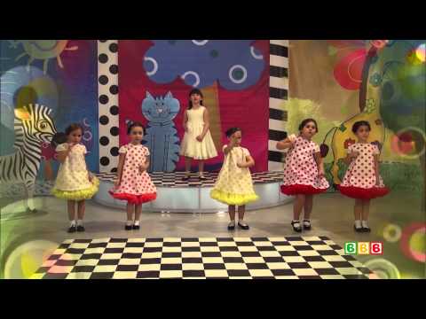 მზესუმზირა 17. 11. 2014