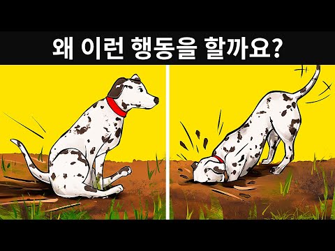 19가지 강아지 이상 행동의 진짜 의미