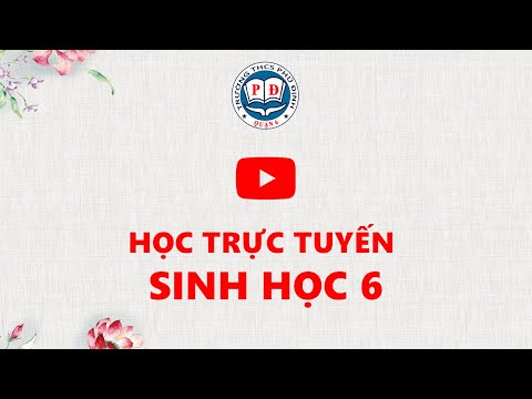 4-2020 - Đợt 4 - Sinh6 - Bài 38: Rêu - Cây rêu