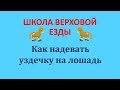 Как надевать уздечку на лошадь