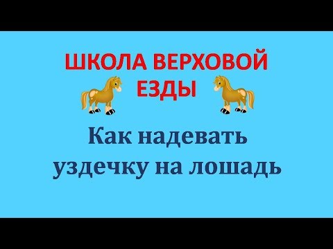 Вопрос: Как надевать недоуздок на лошадь?