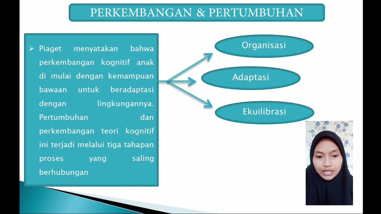 Teori Perkembangan Kognitif Piaget Youtube