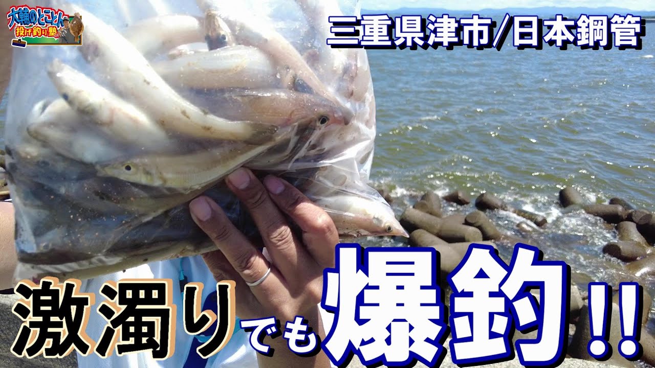 【いきなりキス釣り最盛期part2】激濁りの中でキス釣り敢行‼︎  足下入れ食いパラダイス発見‼︎ 三重県津市・日本鋼管 R7.7.20【大輔のとことん投げ釣り塾】