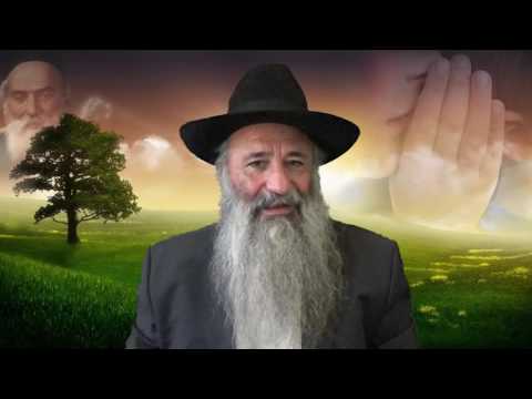 HALAHA N 5 L LACHON ARA