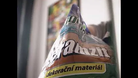 Jak poznat sukulenty?