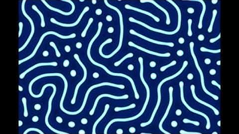 FitzHugh Nagumo Model Simulation Growing Tubes