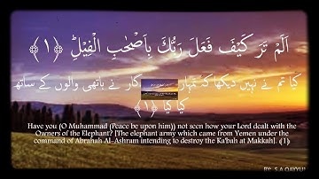 عبدالعزيز الزهراني- سورة الفيل