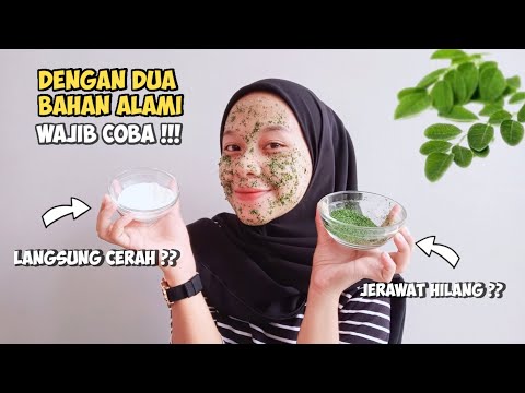 Cara Buat Masker Daun Kelor