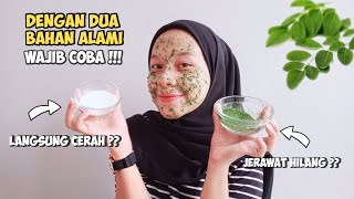 Mengolah Daun Kelor Menjadi Masker Scrub Organik