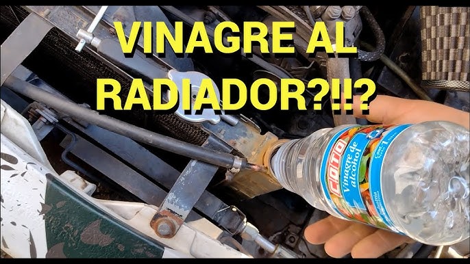 COMO LIMPIAR UN RADIADOR AL ESTILO GARBANZO 