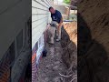 Best Waterproofing Contractor Software 2026