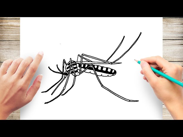 Mosquito Clipart Images – Browse 3,997 Stock Photos, Vectors, and Video |  Adobe Stock