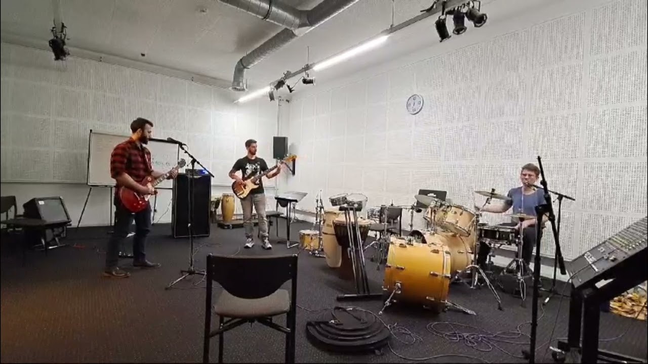 The Frappers - Down With The Sickness (Cover) [20240326_12]