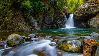 Riverside Retreat: Escaping to Nature's Peaceful Oasis: Verified No Copyright