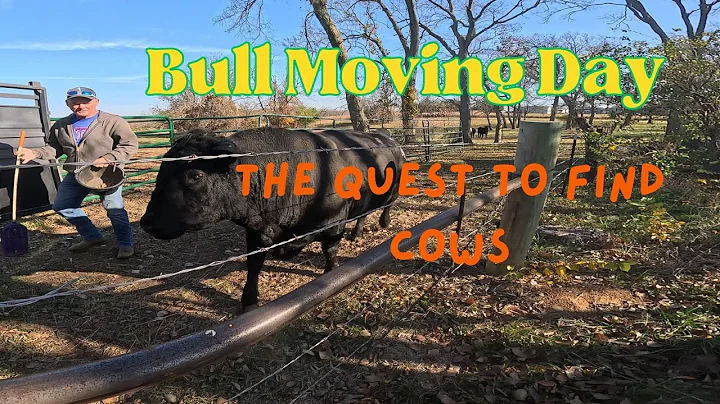 Bull Moving Day #homestead #marketgardening #homesteading #bull #cow #ranch