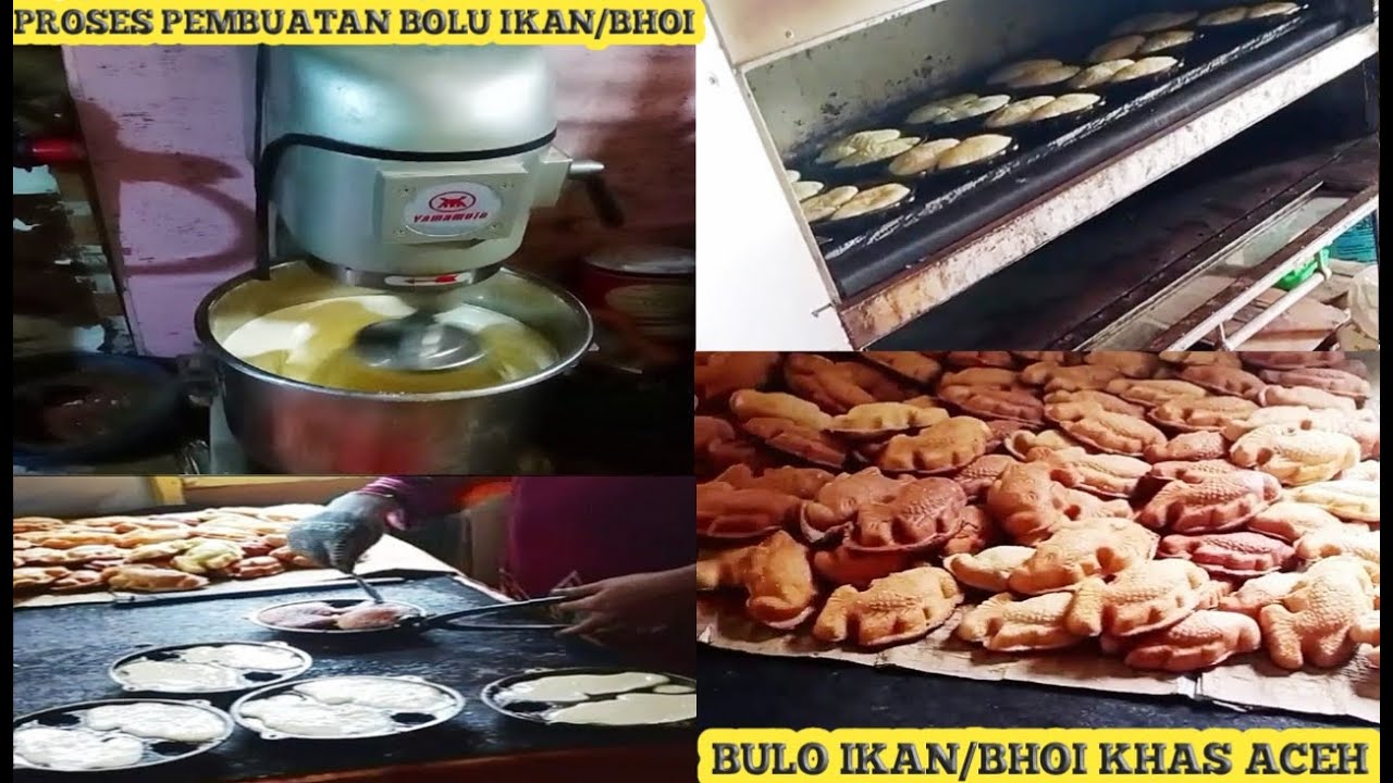PROSES PEMBUATAN BOLU IKAN//BOLU BHOI KHAS ACEH PROSES PEMBUATAN BOLU IKAN//BOLU BHOI KHAS ACEH