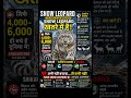 “SNOW LEOPARD KHATRE ME HAI” #animals #venomouscreatures #Endangered