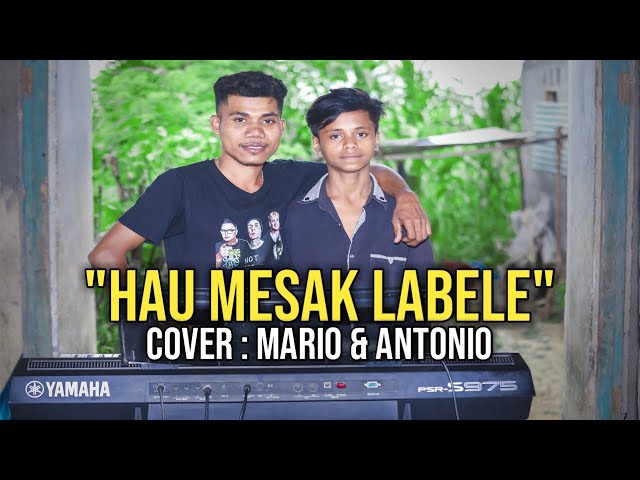 Hau Mesak Labele - Cover Mario Ft Antonio class=