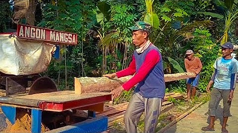 KERJA TIM MEMBELAH KAYU KELAPA DENGAN MESIB GERGAJI RAKITAN SARKEL