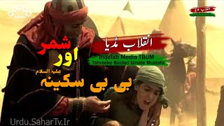 Shame Ghareeban Bibi sakina from Mukhtar Nama scene | شامِ غریباں بیبی سکینہ ع از سیریل مختارنامہ