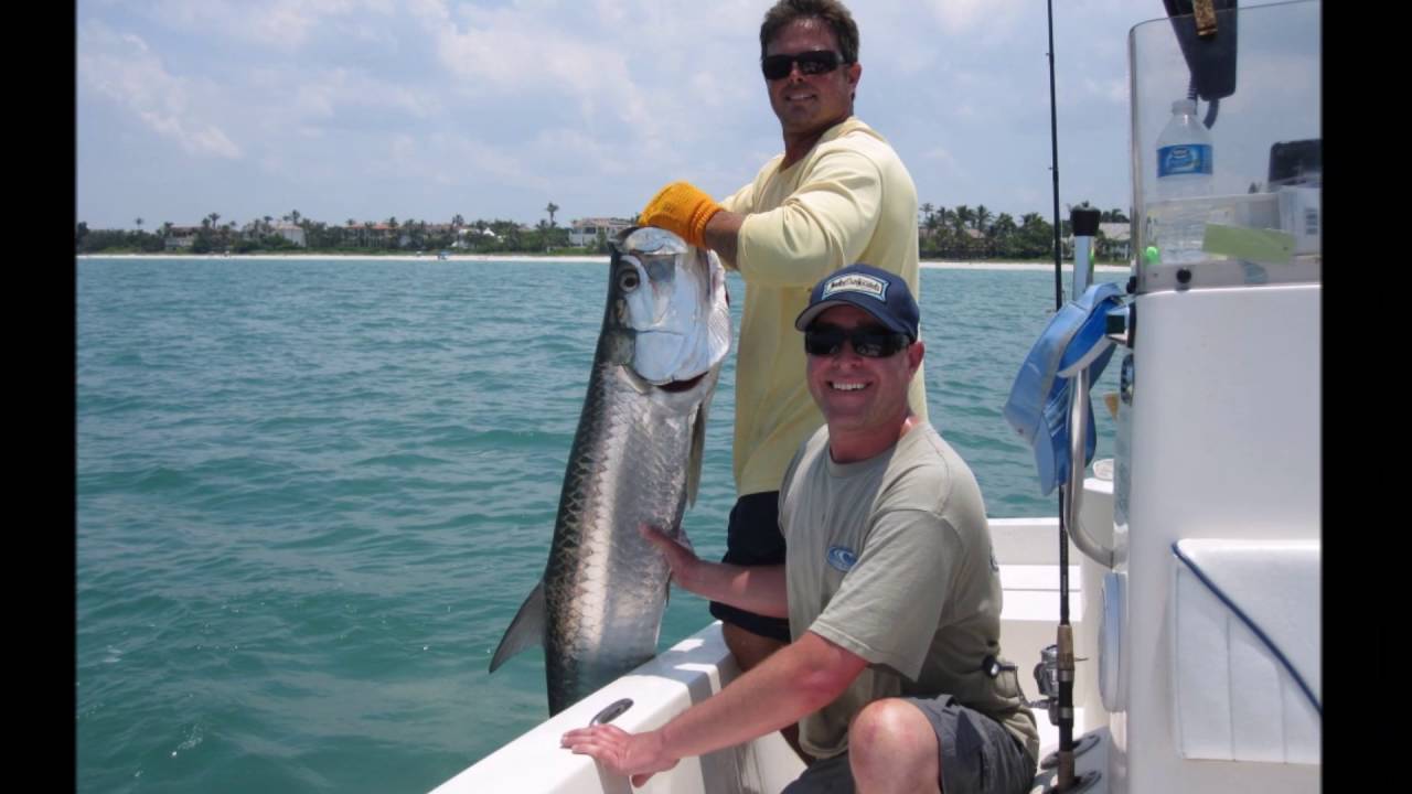 Naples Fishing Charters Capt Tony Catching Local Tarpon, Snook, Grouper, Trout & More… YouTube