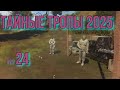 Тайные тропы 2025  № 24 Гроза для Танкиста