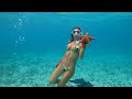 Lobster and Conch of the BAHAMAS| Pt2 Preview
